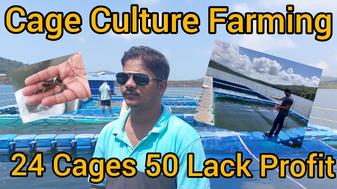 Cage culture fish farming| Maharashtra|PMMSY| Indian farmer | Sawant Aqua Farm|