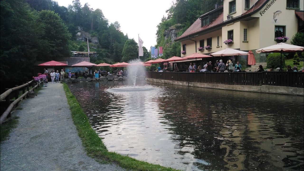 Fish Feeding at Pottenstein Germany
