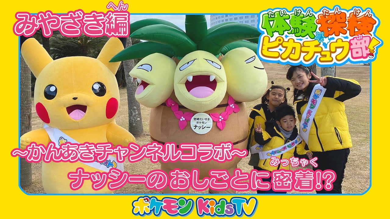 【ポケモン公式】体験探検ピカチュウ部！「みやざき編」－ポケモン Kids TV