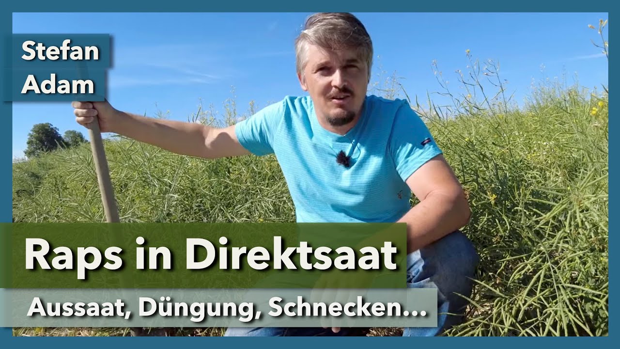 Raps in Direktsaat - Aussaat, Düngung, Schnecken, Regenwürmer | Stefan Adam | Rundgang 1 | 2022