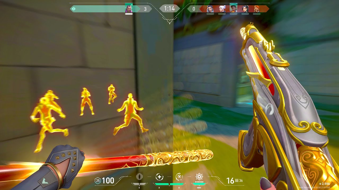 1000 FPS + Valiant Hero Vandal