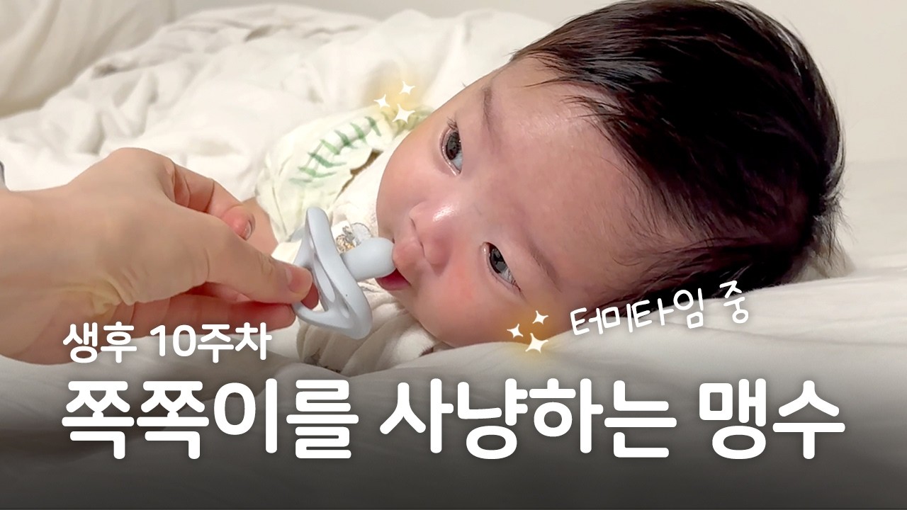생후 10주차 육아기록 | 쪽쪽이를 사냥하는 맹수