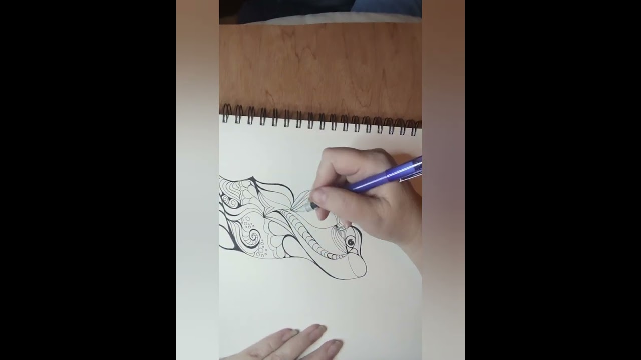 Squiggles in the brain