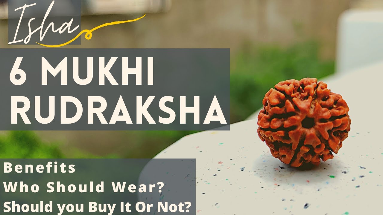 6 mukhi Rudraksha benefits | Isha life Shanmukhi Rudraksha Review