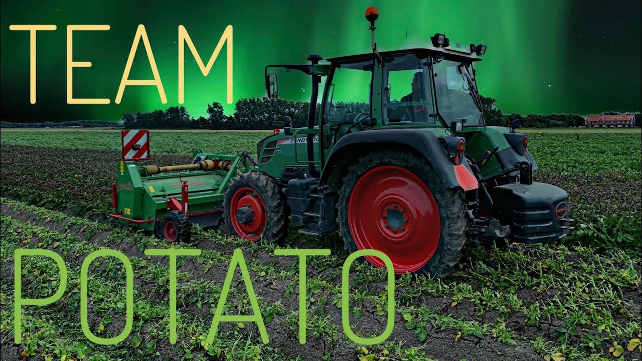 The Potato Leaves are Gone ❌  | Texel 2019