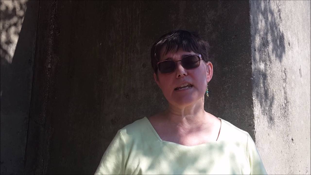 A New Beginging: Dowagiac's Orphan Train Story - MHC Grant Application