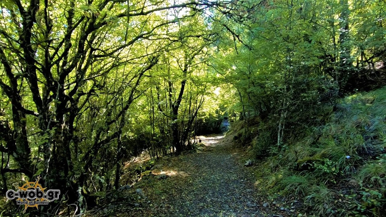 Καταρράκτες Μπάλτα Ντι Στρίγκα (Ζαγόρι)