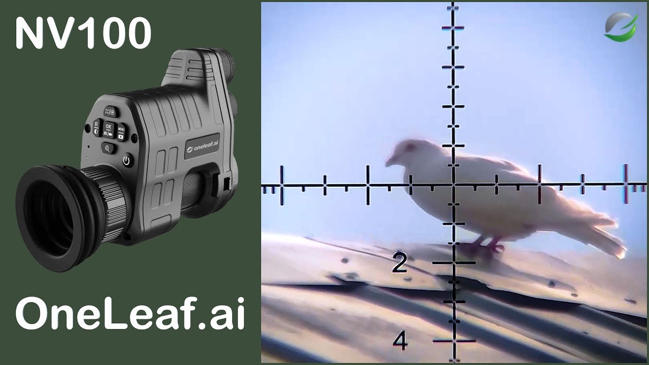 Popping Pigeons with the OneLeaf NV100 + a Review