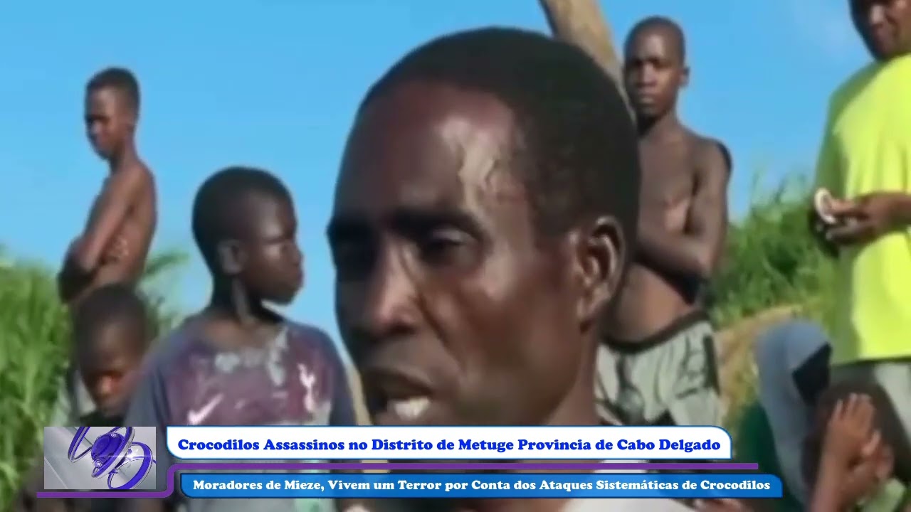 Moradores de Mieze em Cabo delgado vivem um terror por conta dos ataques sistem&aacute;ticas de crocodilos.