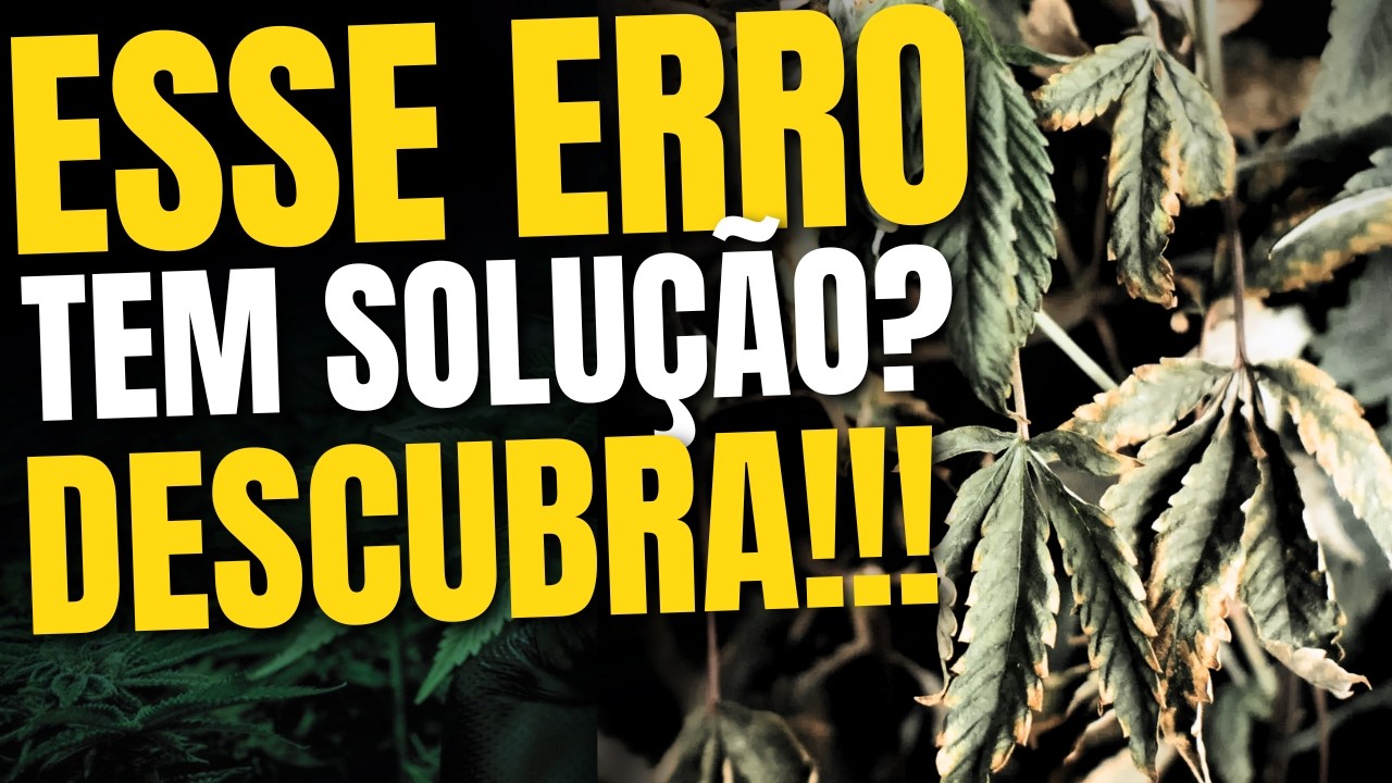 APRENDA AGORA: Como DIFERENCIAR EXCESSO de FALTA NUTRICIONAL? IDENTIFIQUE os SINAIS!