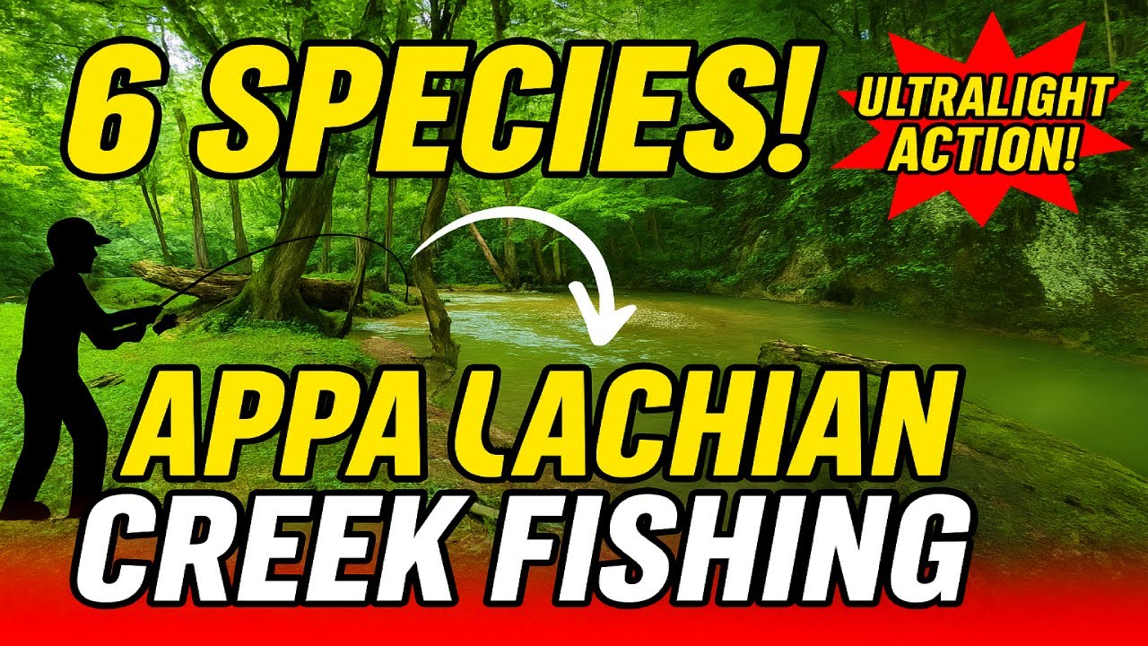 Ultralight Appalachian Creek Fishing – Six Species Caught on Ultralight Gear