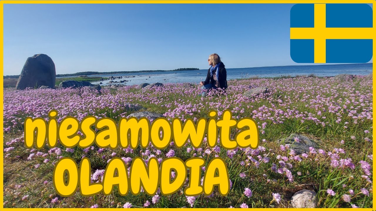 Piękna Olandia, propozycja na dwutygodniowy wakacyjny urlop w Szwecji #vanlife