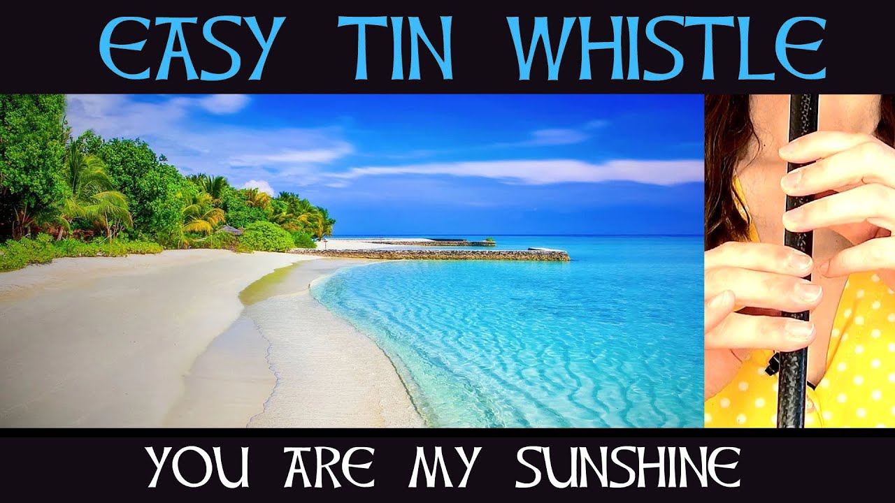 EASY TIN WHISTLE TUNES - PART 5 - You Are My Sunshine - TABS TUTORIAL