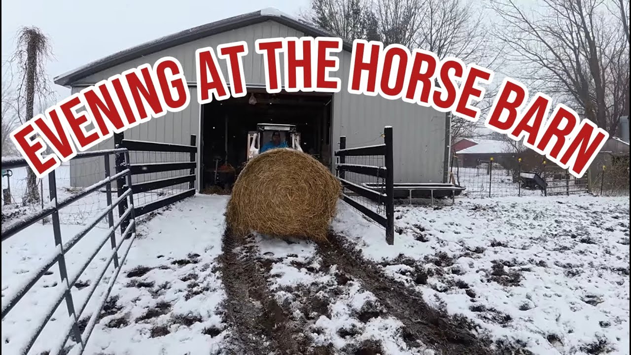 Evening at the horse barn