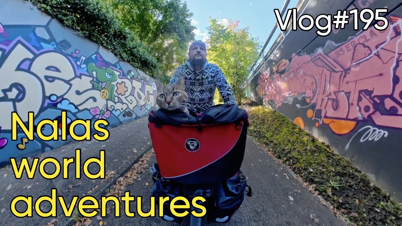 Vlog#195