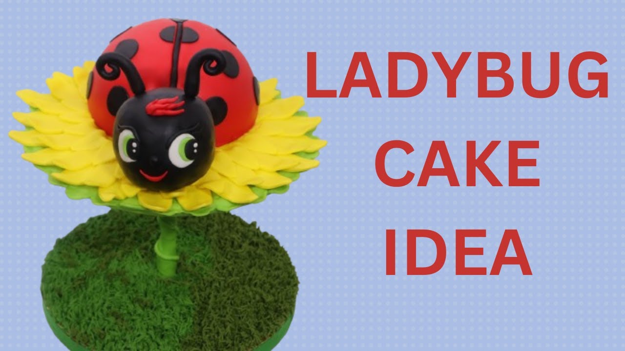 Ladybug Cake Idea / Anti Gravity Cake Idea