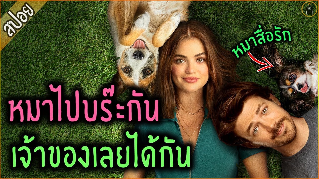 น้องหมาสื่อรัก หมาไปบร๊ะกัน เจ้าของเลยได้กัน - เล่าหนัง [สปอยหนัง]