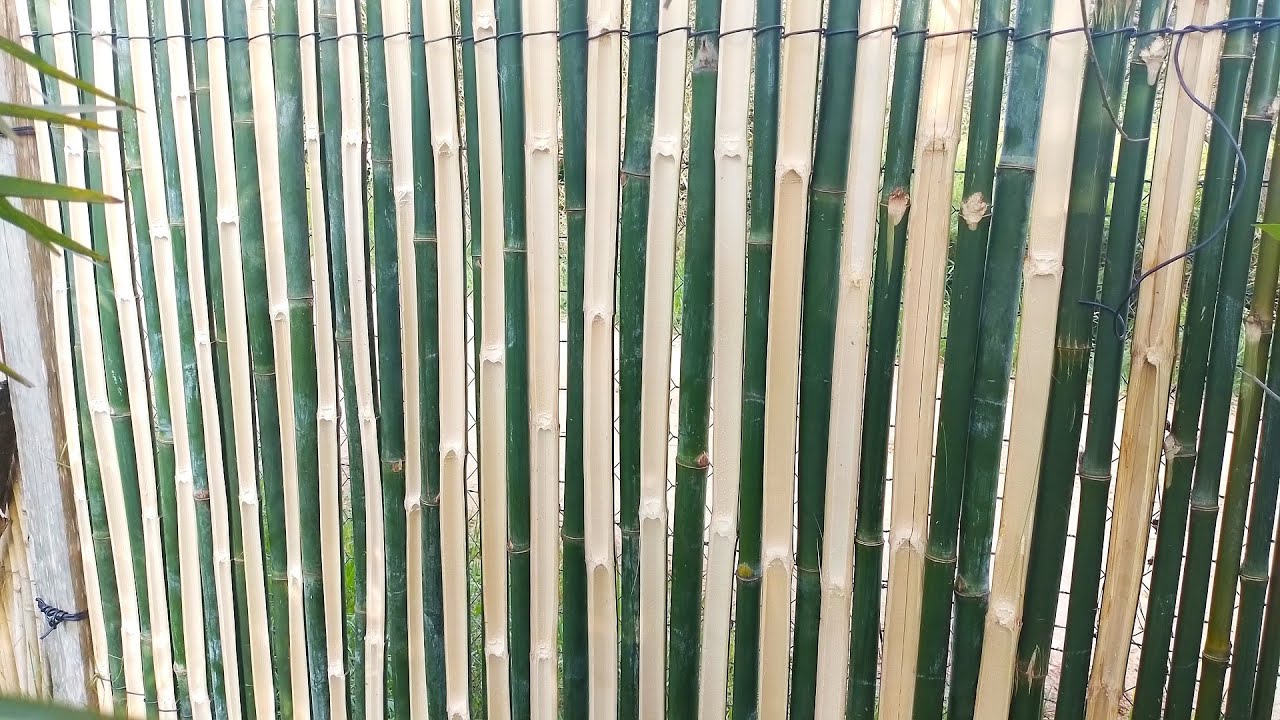 Cerca de bambu rústica com custo zero