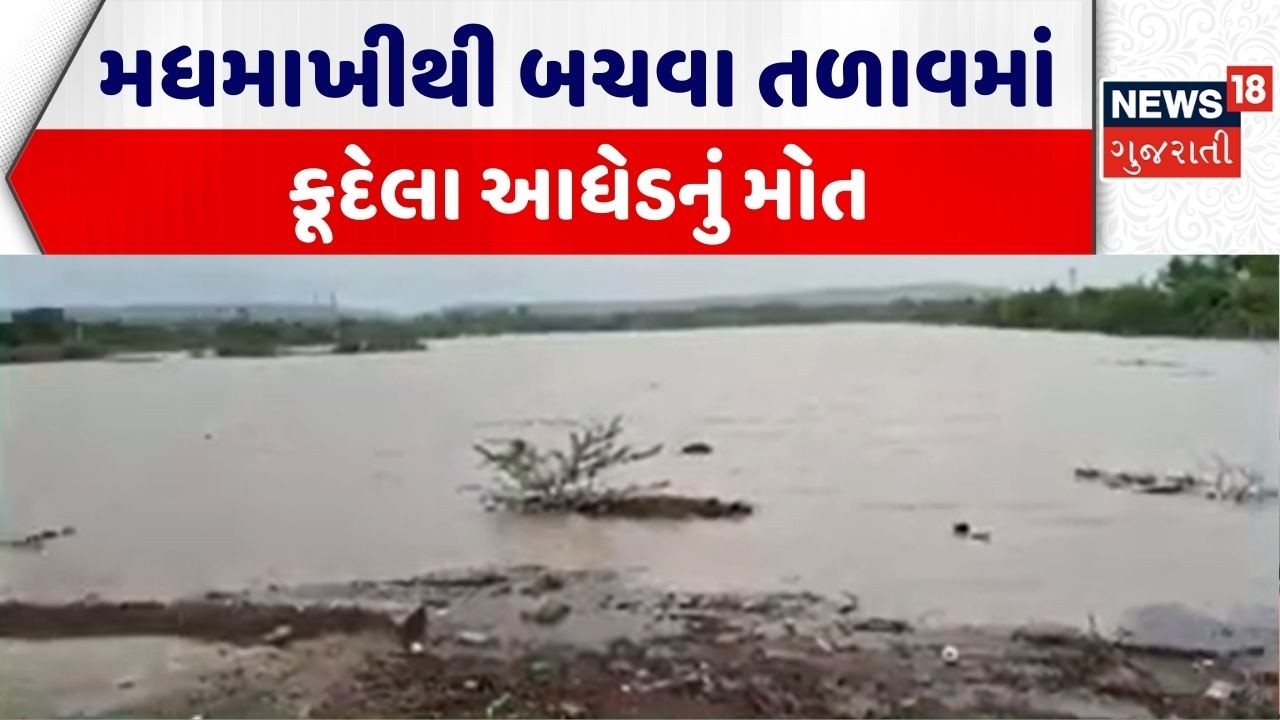 Surendranagar Bee Sting | મધમાખીથી બચવા તળાવમાં કૂદેલા આધેડનું મોત | Tragedy | Gujarati News