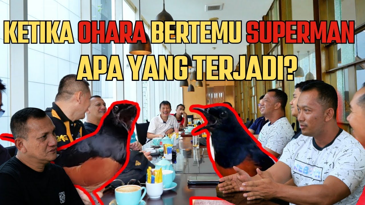 Murai Batu O'Hara Bersama Prio Excellent dan Murai Batu Superman Bersama H.Hidayat