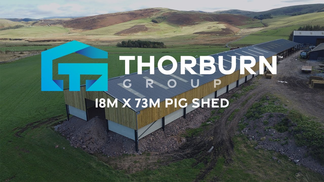 73m x 18m Pig Shed | Completed Steel-Framed Farm Building | Thorburn Group