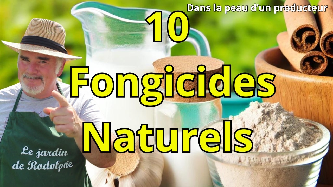 Les 10 Fongicides Naturels pour un Jardin en Pleine Santé!