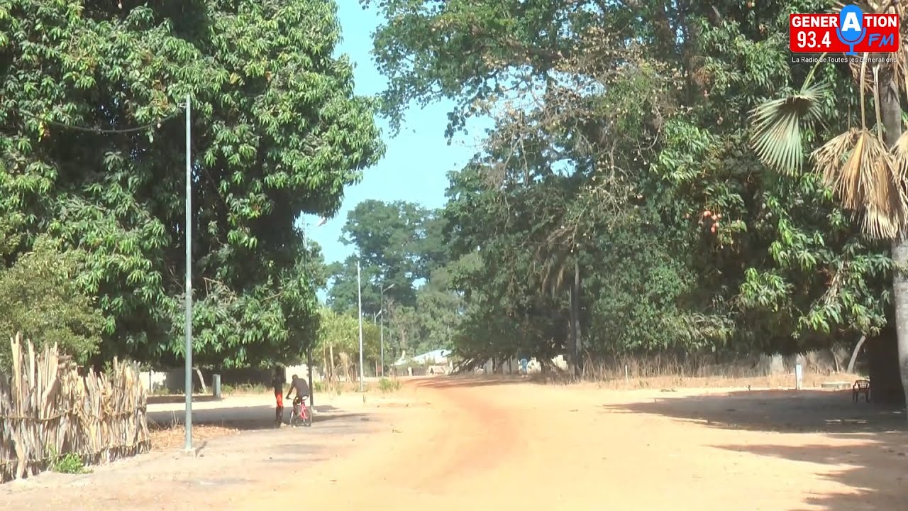 Déforestation à grande échelle, DJITAMA D'EBINKINE engage le combat pour stopper le phénomène