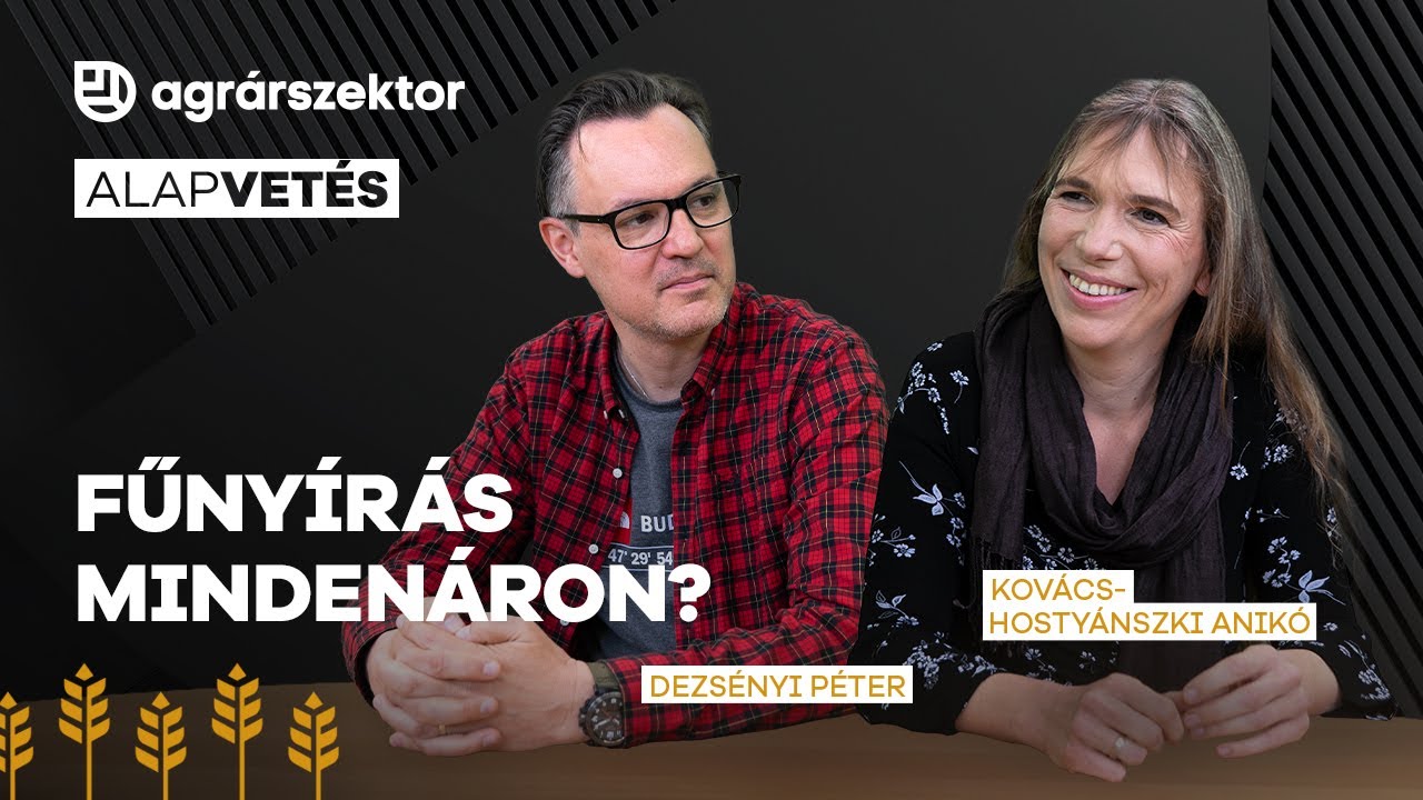 Fűnyírás mindenáron? Kényszeres kertrendezés helyett megéri kicsit lustának lenni | Alapvetés