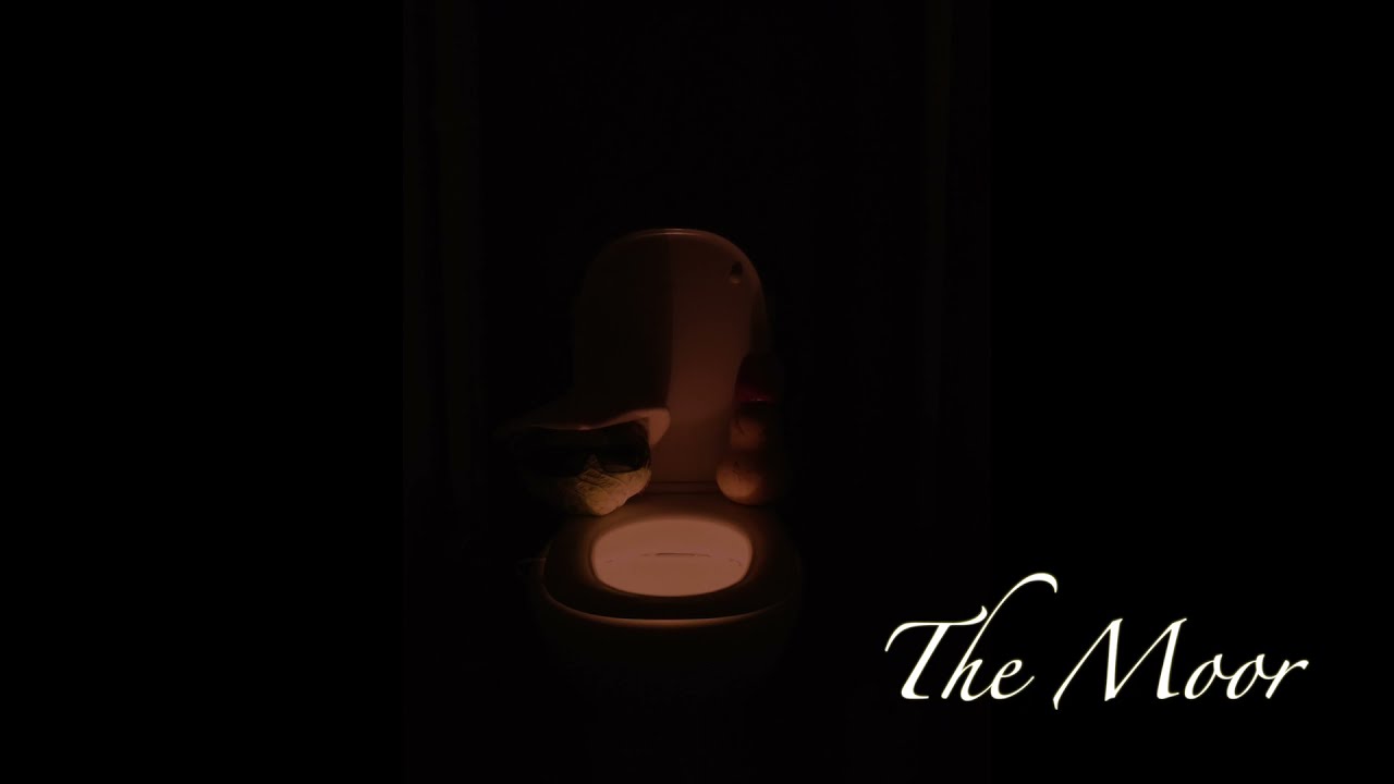 Opeth - The Moor [Acoustic Duo Cover]
