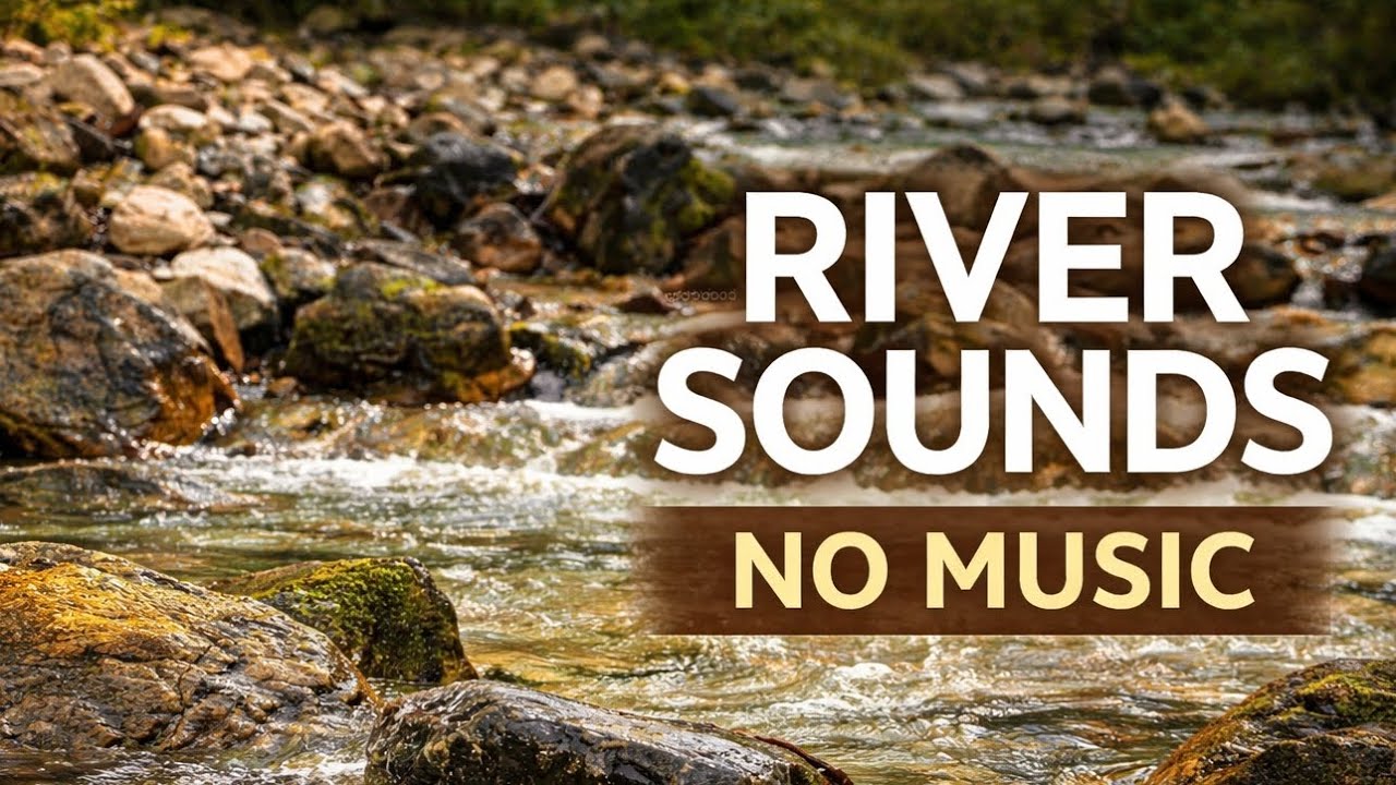 Natural River Sounds for Deep Sleep & Focus | No Music, Forest Water Ambience