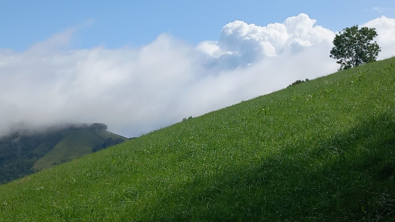 Ma 21 ème étape du GR 78. De L'Hopital Saint Blaise à Mauléon-Licharre - 16 km