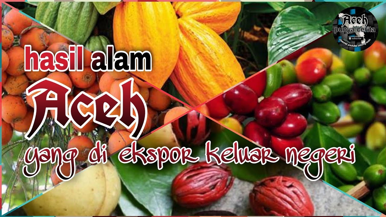 5 hasil alam aceh yang di ekspor keluar negeri