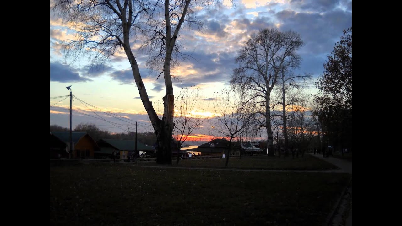 Sava - Drvece