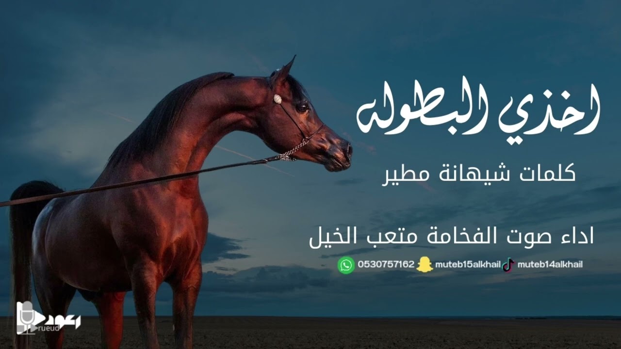شيلة اخذي البطوله آداء صوت الفخامه متعب الخيل جديد2024حصرياً