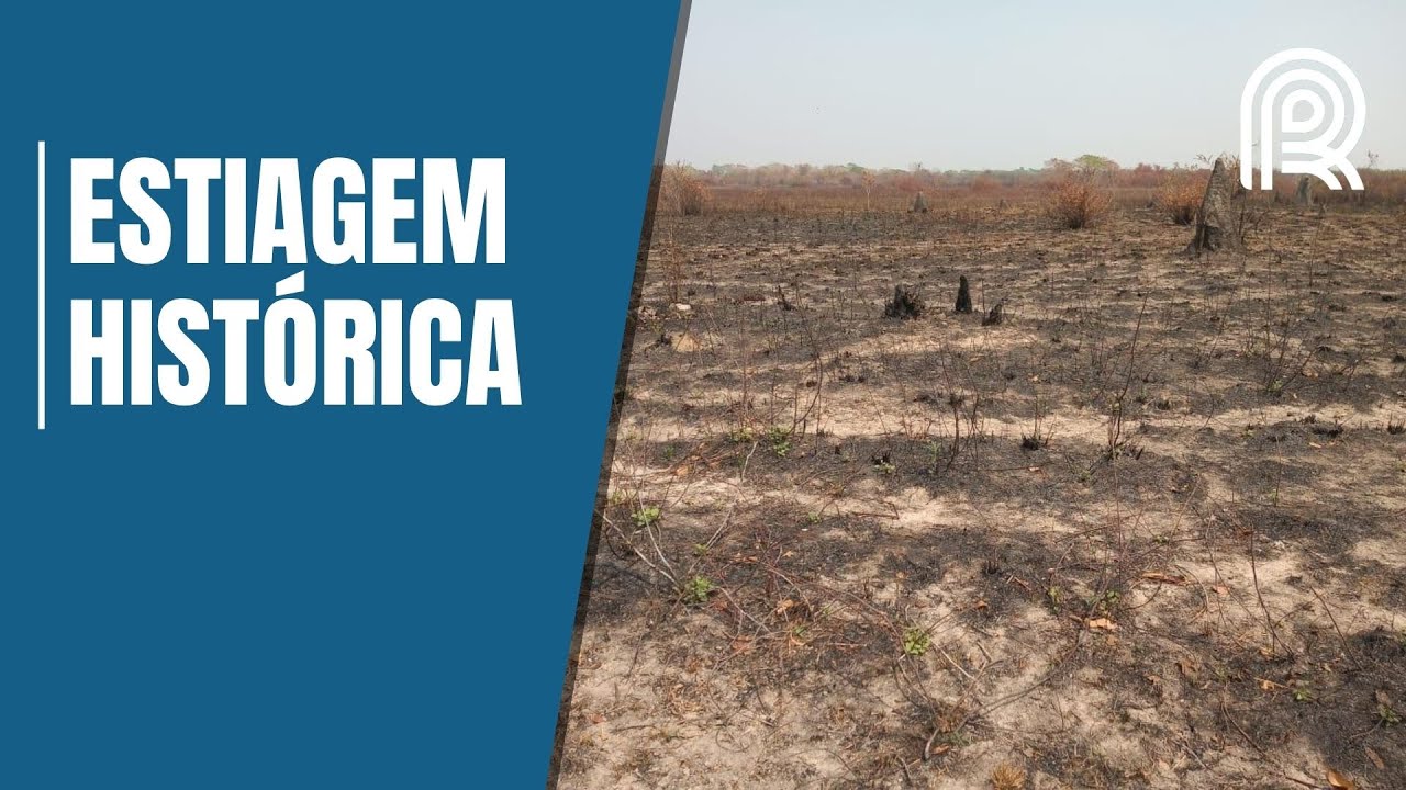 Seca no Pantanal &eacute; a pior em 50 anos; veja quando as chuvas devem voltar