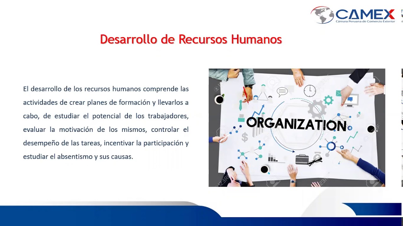 Desarrollo de recursos Humanos en la Organización 04/01