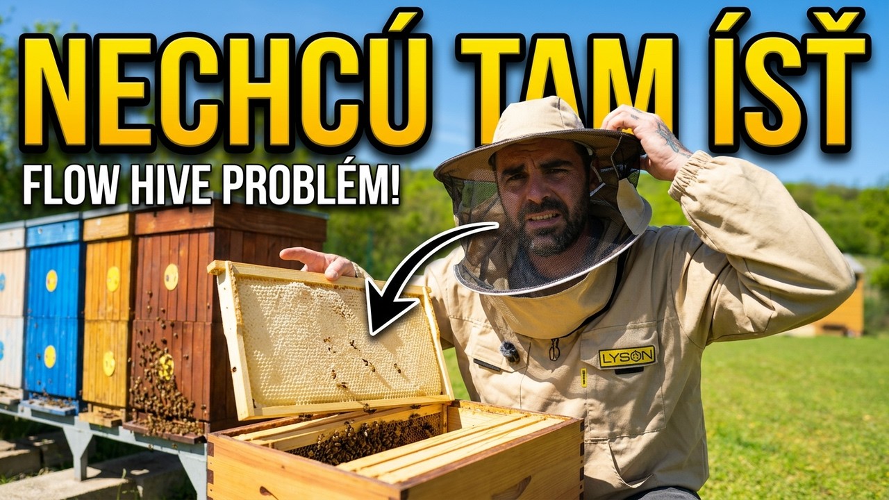 Flow Hive v re&aacute;li: Včely nechc&uacute; &iacute;sť do medn&iacute;ku, čo teraz? 🐝