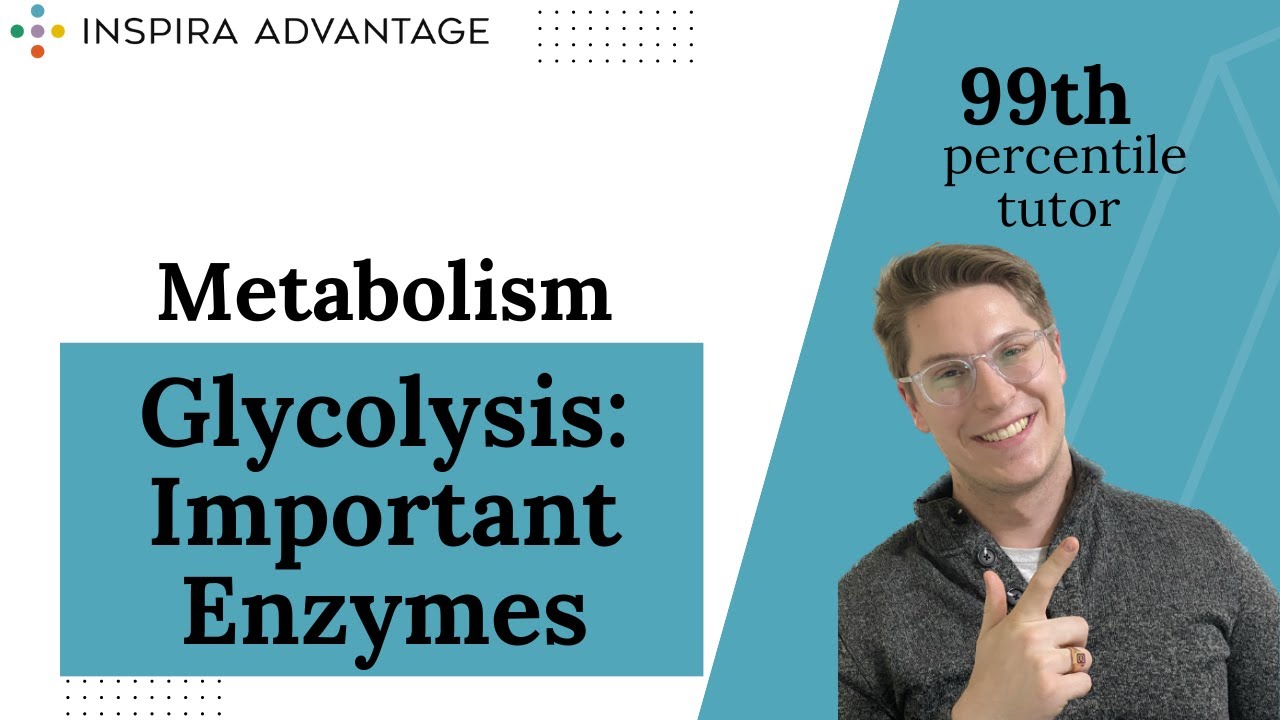 MCAT Bites: Metabolism II : Glycolysis: Important Enzymes | Inspira Advantage
