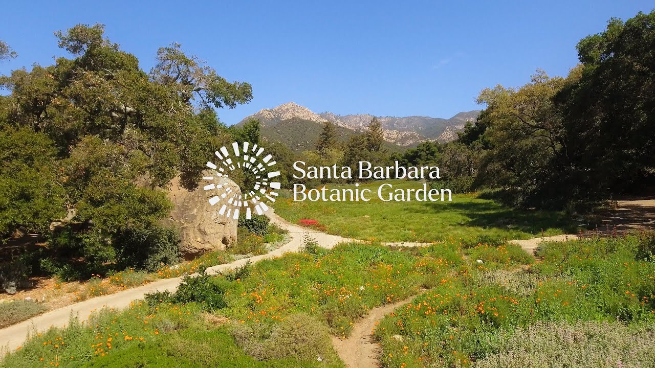 Visit the Santa Barbara Botanic Garden