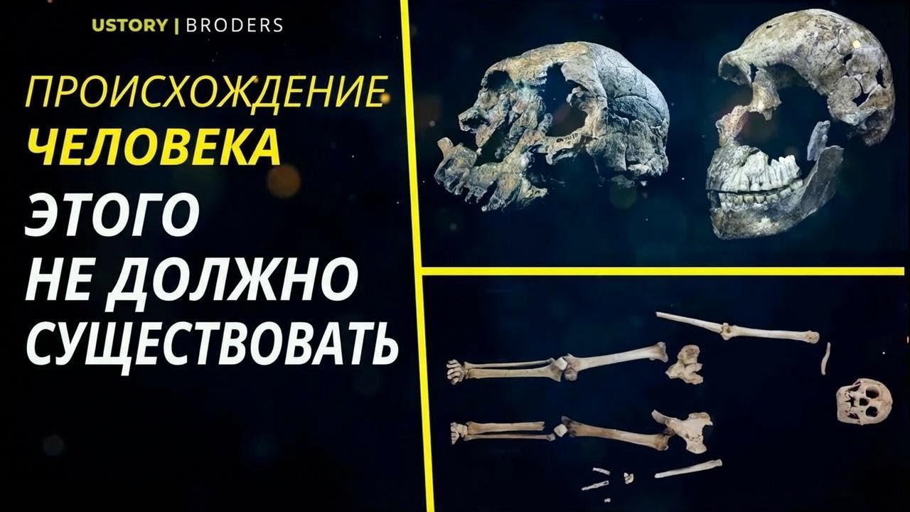 Тайны происхождения человека: скелеты, мифы и вымышленные виды