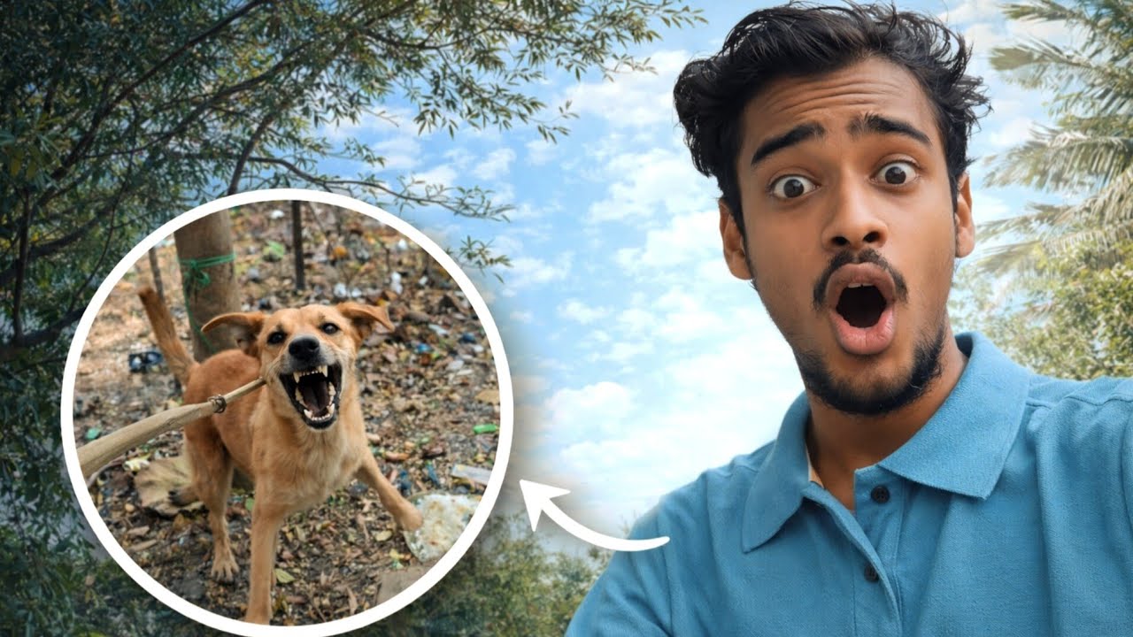 Main aaj kutte Se kaise bacha🐕‍🦺#dog #minivlog 