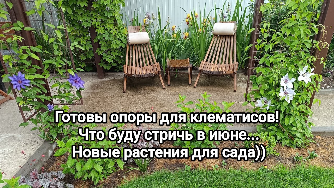 ОПОРЫ для клематисов/ НОВИНКИ в сад/ что НУЖНО СТРИЧЬ сейчас, начало июня))