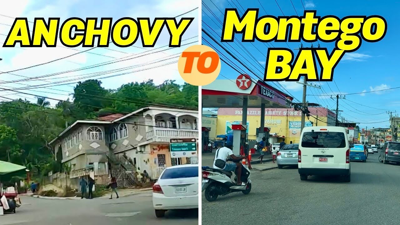 From Country Roads to BIG City 🇯🇲 Anchovy to Montego Bay Thrilling Journey
