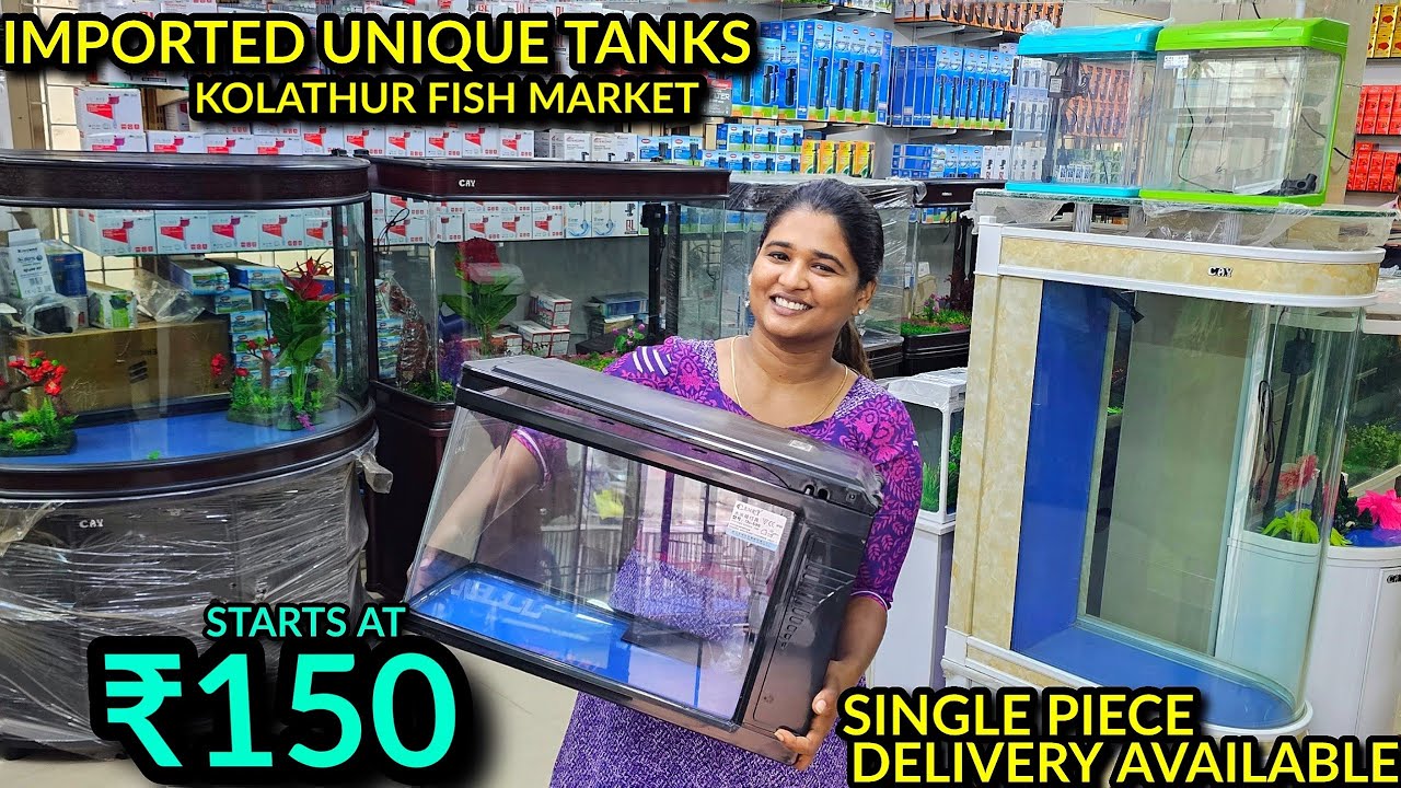 ₹150 முதல் 55k வரை| Imported unique Fish Tank Kolathur Fish Market