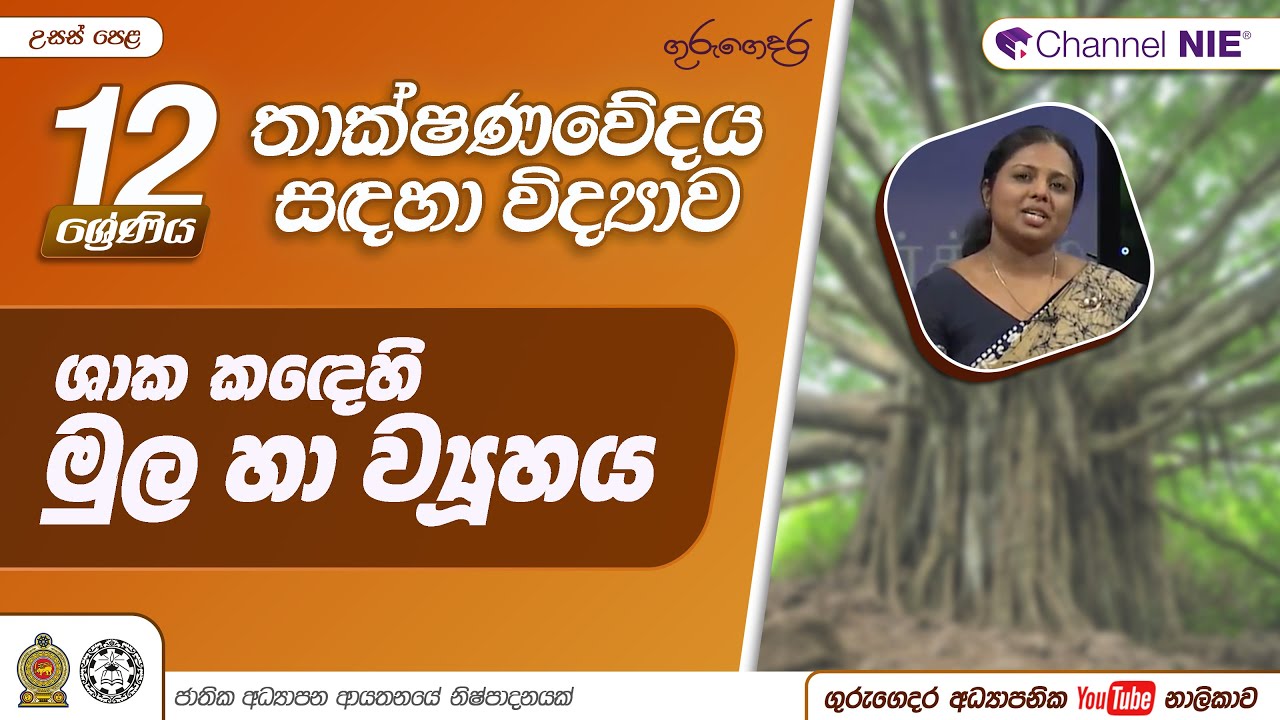 ශාක පත්‍රවල ව්‍යුහය - 12 ශ්‍රේණිය (තාක්ෂණවේදය සඳහා විද්‍යාව)