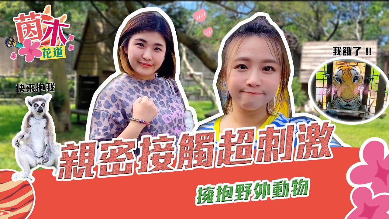 親密接觸超刺激 擁抱野外動物 !｜Alina鄭茵聲