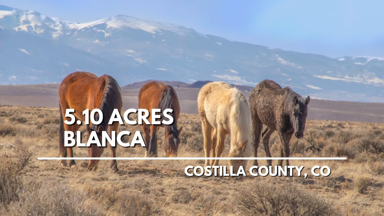 5.10 Acres Mountain View Land with Road in Southern CO