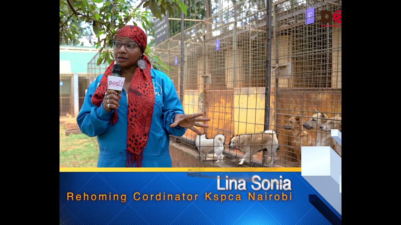 ANIMALS REHOMING CORDINATOR   @ KSPCA.LINA SONIA (DOG TV KENYA EPISODE 88)