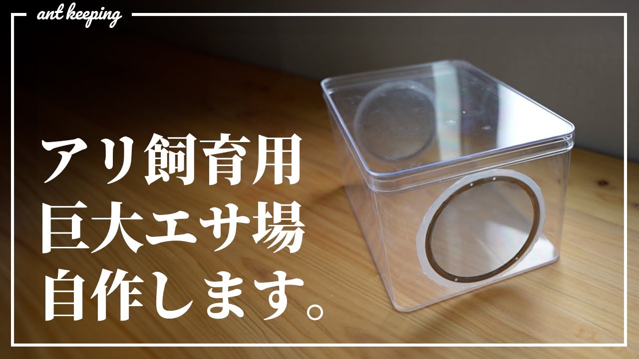 巨大なアリ飼育エサ場を自作してみた！【DIYでアリ飼育】