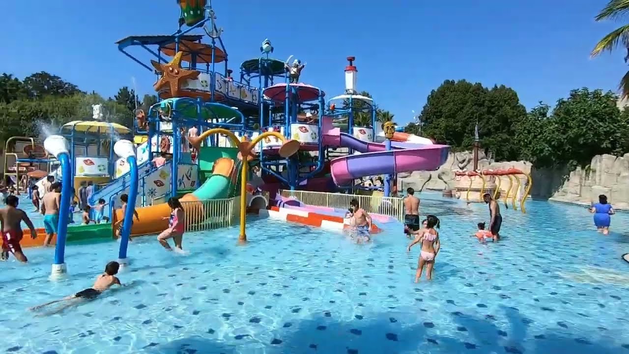 Aqua Club Dolphin 2022 | Çocuklar ve Büyükler için En iyi Aquapark